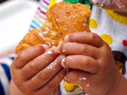 Strenge Regeln für Zucker- und Fettbomben nötig