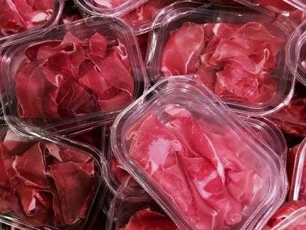 New approaches for food packaging made from renewable raw materials