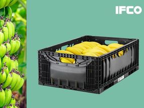 Neue IFCO Lift Lock Mehrwegbehälter für Bananen bieten zusätzliche Vorteile für den Transport von Bananen