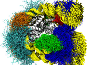 Nucleosome breathing from atomistic time snapshots