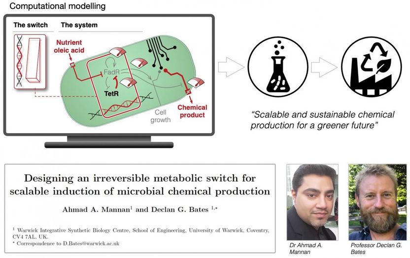 Activar eficazmente las bacterias para producir productos químicos de alto valor - Los investigadores han encontrado una forma barata de poner a las bacterias en modo de producción química