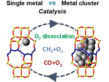 Aktive Platin-Spezies