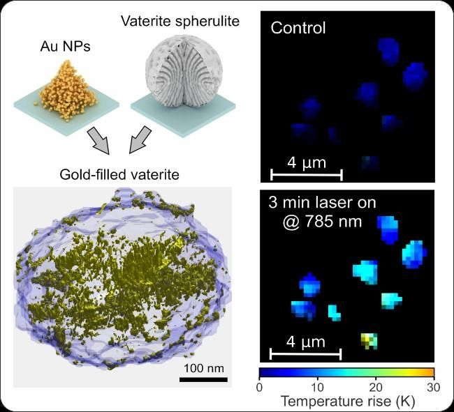 Researchers turned transparent calcite into artificial gold