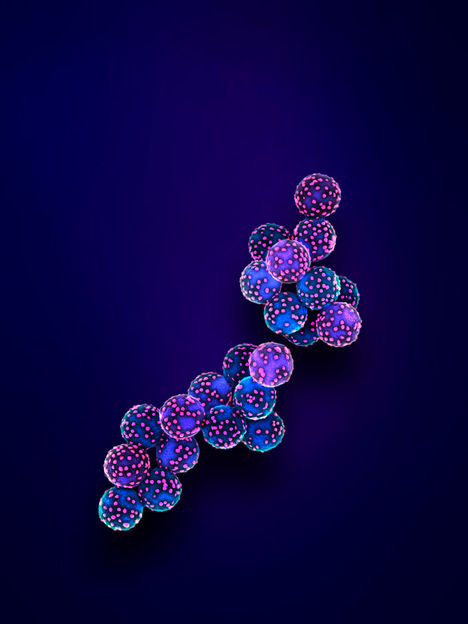 lessandro Cumbo, Artwork: Martin Oeggerli/www.micronaut.ch