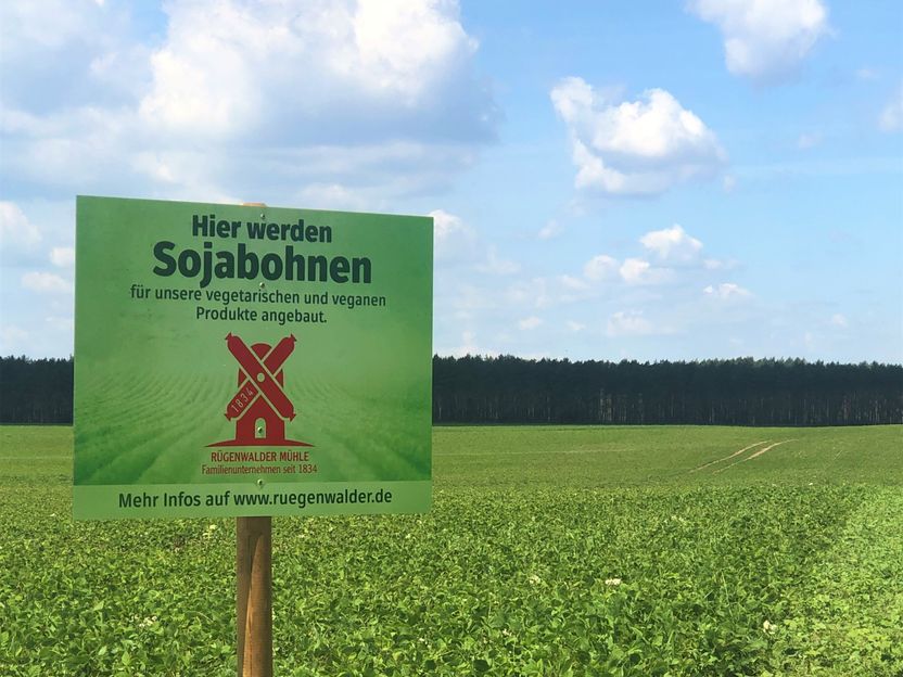 Rügenwalder Mühle verdoppelt Anbaufläche für eigenes Soja - Fortschritte beim Projekt Pflanzliches Protein „made in Germany“