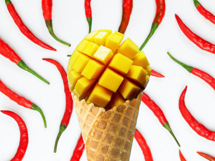 Ein Trend-Ausblick - mit wenig Pandemie, dafür einem Panorama auffälliger Phänomene wie Mochi-Eis, Veggie-Trend und alkoholfreies Naturradler.