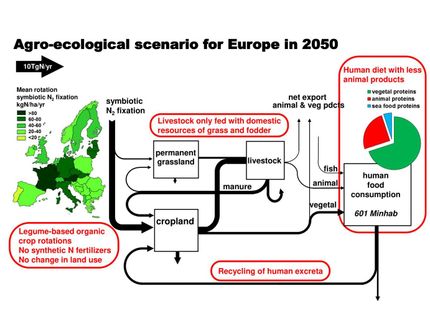 Diagrama de un posible escenario agroecológico para 2050.