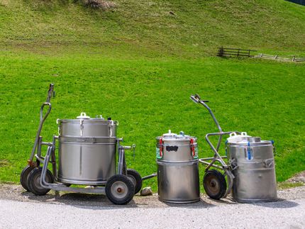 EU-Rechnungshof kritisiert Hilfen für Milchbauern nach Importverbot