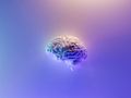 „Todeskomplex“ in Nervenzellen entdeckt