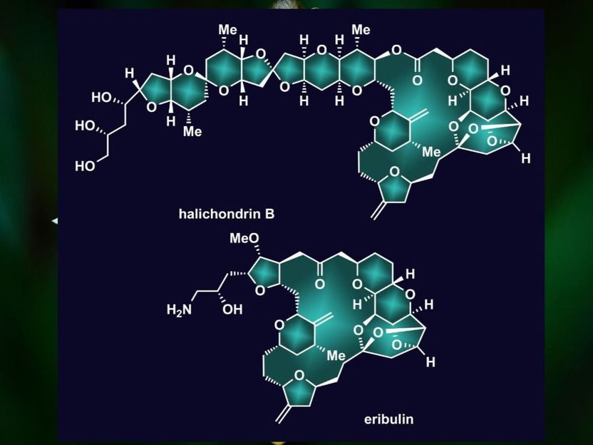 Jenna Kripal/Nicolaou Research Group