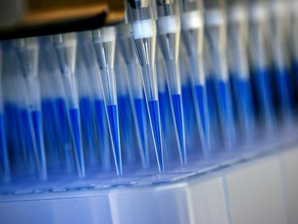 El material de los hisopos teñidos de azul de las pruebas de corona se prepara para su análisis en un dispositivo de secuenciación con la ayuda de un robot de laboratorio.
