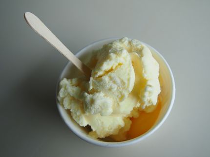 Prozess um «Champagner Sorbet»