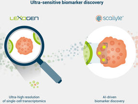 Spin-off Scailyte und Lexogen entwickeln integrierten Workflow zur Entdeckung von Biomarkern für die Präzisionsmedizin