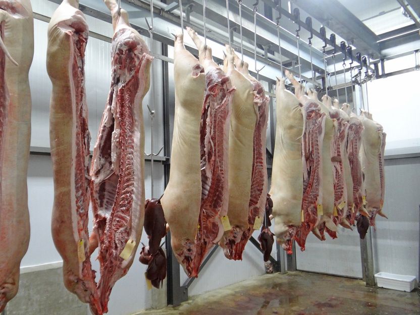 COVID-19: „Superspreading“-Ereignisse in der Fleischindustrie - BGN-Studie untersucht Einflussfaktoren auf Ausbruchgeschehen