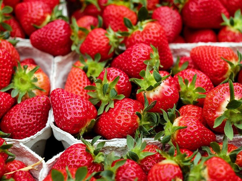 Erdbeere - kleine Frucht mit großer Wirkung - Vorteile der heimischen Superfrucht