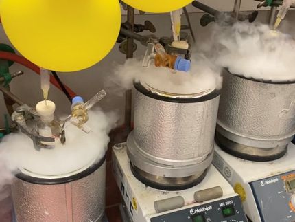 Vielseitige Enamide mit Potenzial für die Medikamentenentwicklung