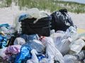 Turn plastic waste into edible food
