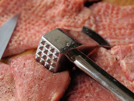 Laschet gegen Werbung für Billigfleisch