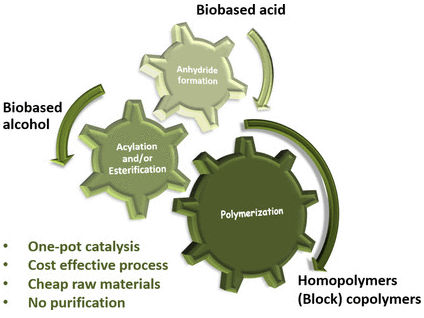 How Green Is Your Plastic? - Economical synthesis of polyacrylates and polymethacrylates from biobased materials