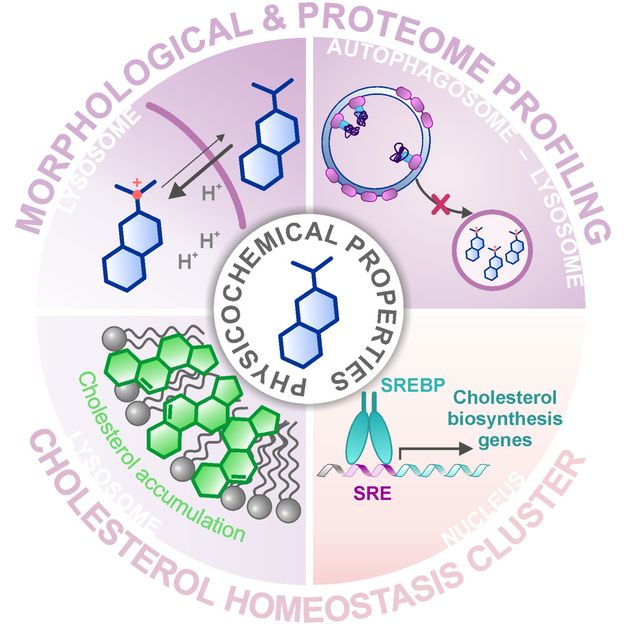 MPI of Molecular Physiology 