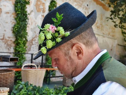 Hopfenpflanzer beklagen zuviel Verzicht auf Pflanzenschutzmittel