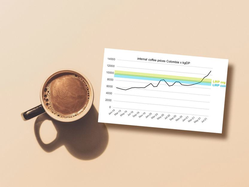 Decent coffee prices to stay! - Starting with Colombia, the new Fairtrade Living Income Reference Prices aim to bring sustainable price stability to coffee farmers