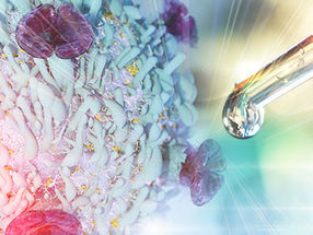 Neues Verständnis der Zellstabilität mit Potenzial zur Verbesserung von Immunzelltherapien