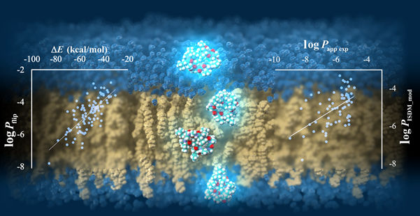 Sugita M, et al. Published by American Chemical Society