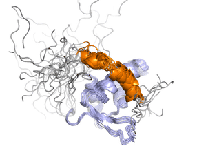 Ciertas proteínas deciden sobre la vida o la muerte de la célula