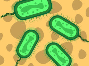 Food scientists create national atlas for deadly listeria