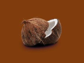 Vorreiter in Sachen Nachhaltigkeit in der Kokosnussindustrie