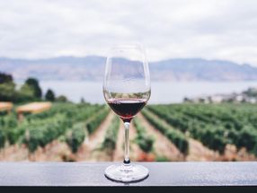 Studie: Bio-Weine besser vermarkten