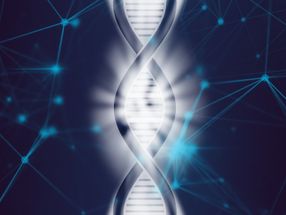 Neue Technik beleuchtet DNA-Helix