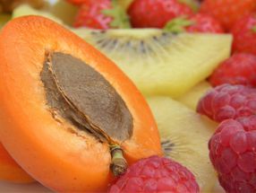 Forschung deckt auf, wie Fruktose in der Ernährung zu Fettleibigkeit beiträgt