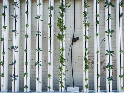 Vertical farming as a possible path to food security
