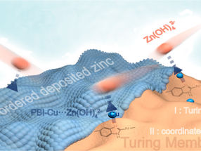 Researchers develop Turing membrane to improve performance of zinc-based batteries