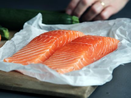 Zuchtlachs liegt vor Wildlachs