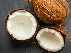 Spearheading sustainability in the coconut industry