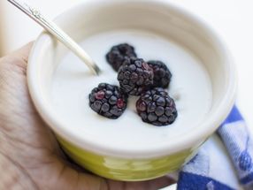 Turning homemade yogurt into an opportunity