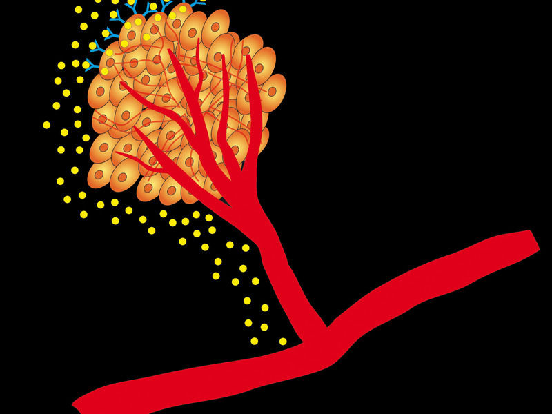 © MPI für neurologische Forschung