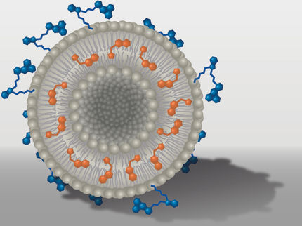 Evitar los efectos secundarios: Los nanocontenedores transportan los principios activos directamente a su objetivo