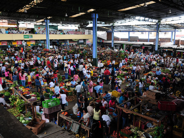 Alliance of Bioversity International and CIAT | N. Palmer