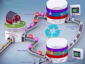 A graphical representation of the new whey-processing method.