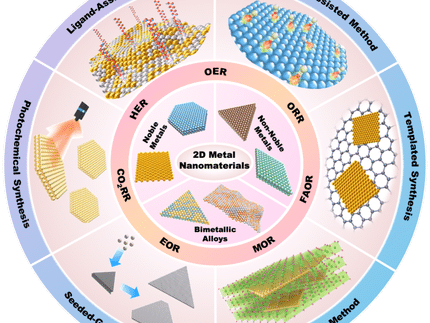 Wet-chemical synthesis of two-dimensional metal electrocatalysts