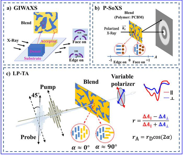 Probing molecular orientation by polarization-selective transient  absorption spectroscopy