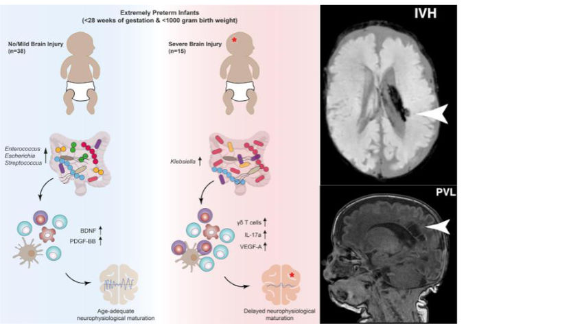 © Seki et al., 2021