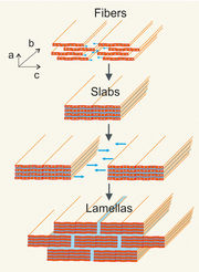 © Advanced Materials / Universität Stuttgart