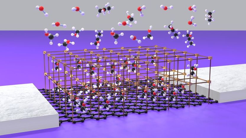 Innovativer Sensor spürt Moleküle gezielt und genau auf - Kombination von Graphen-Transistor mit metallorganischer Beschichtung ermöglicht sensitive und selektive Detektion