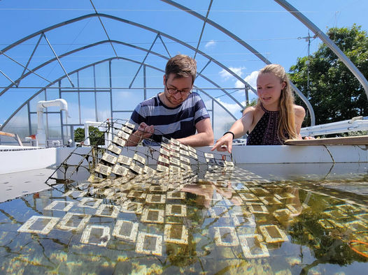 Woods Hole Oceanographic Institution