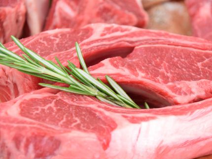 Meat-heavy diets restricted hunter-gatherer population sizes